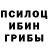 Псилоцибиновые грибы MAGIC MUSHROOMS Yehor Us