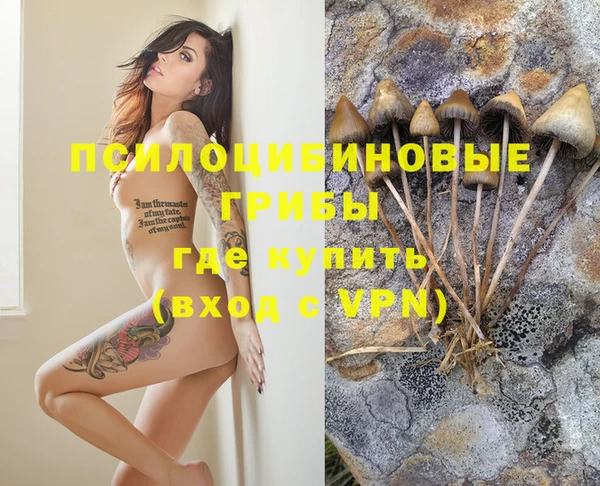 спиды Алзамай
