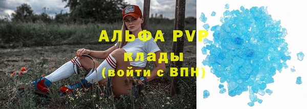 спиды Алзамай