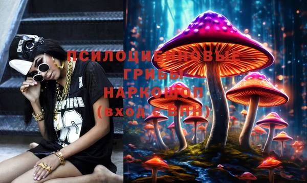 spice Алексеевка